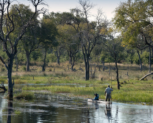 Khwai Tented Camp