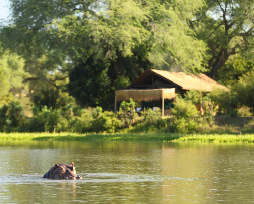 Chongwe River Camp