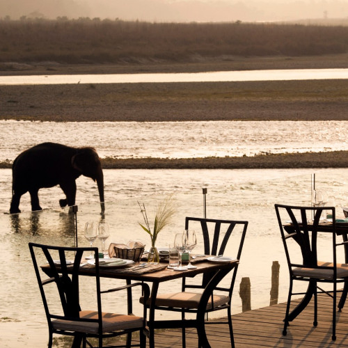 Meghauli Serai, A Taj Safari Lodge