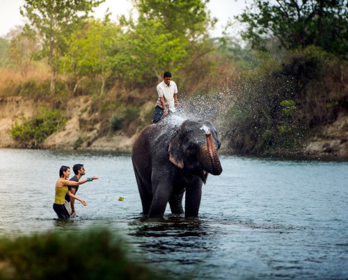 Meghauli Serai, A Taj Safari Lodge