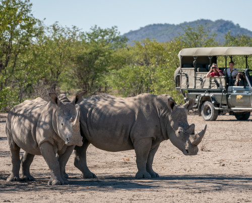 Ongava Lodge