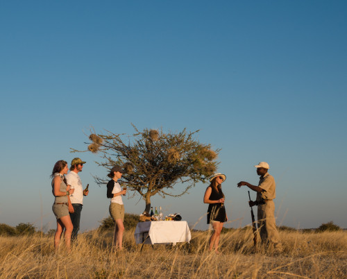 Ongava Lodge