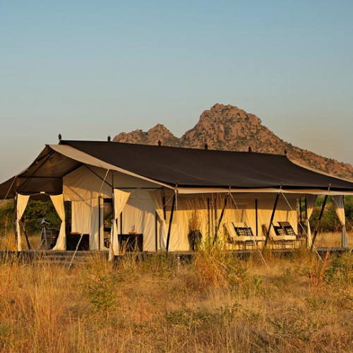 Jawai Leopard Camp