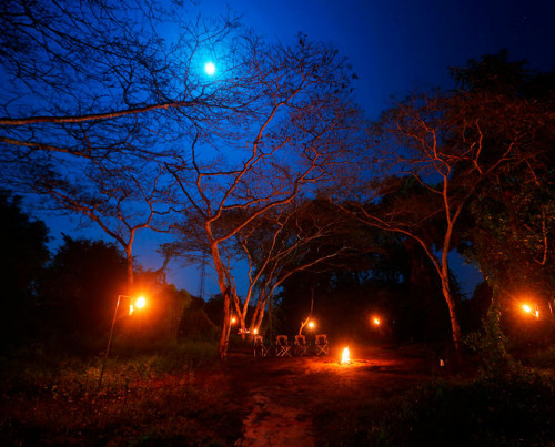 Wilpattu Safari Camp