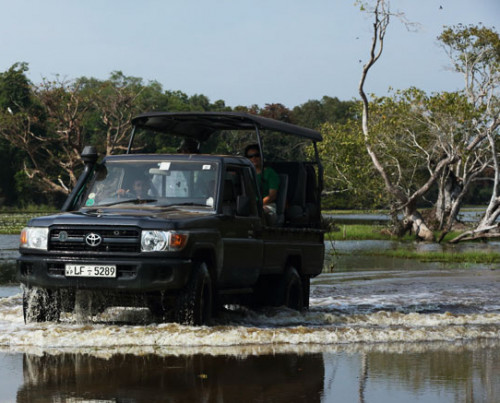 Wilpattu Safari Camp