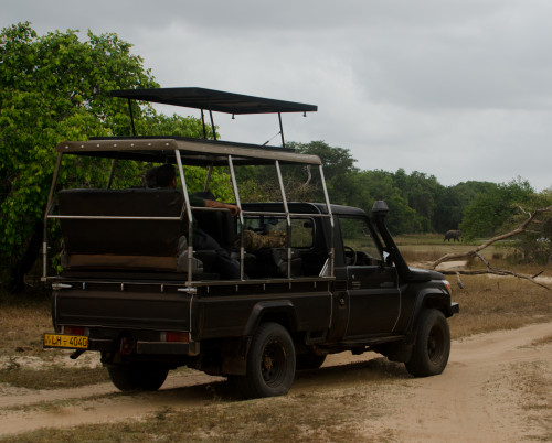 Leopard Trails Wilpattu