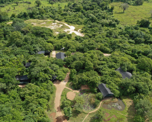 Leopard Trails Wilpattu