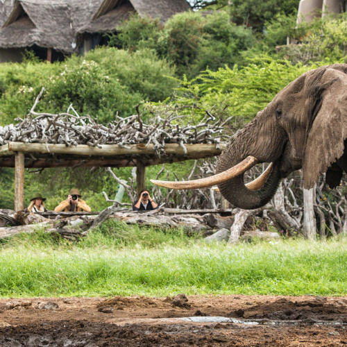 Ol Donyo Lodge