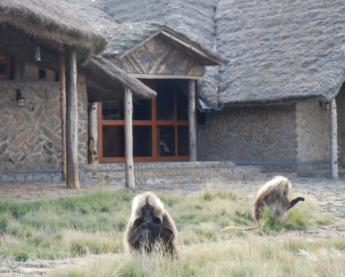 Simien Lodge