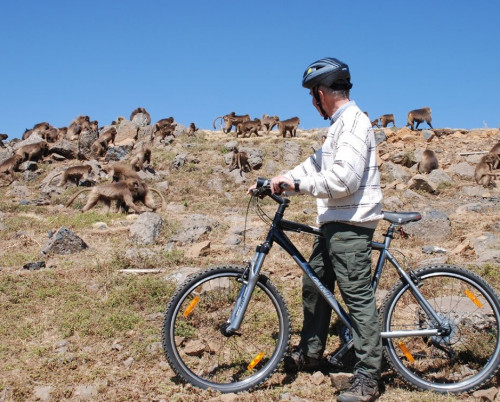 Simien Lodge