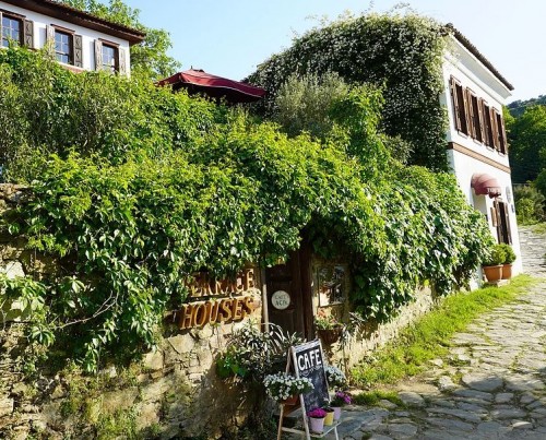 Sirence Terrace Houses