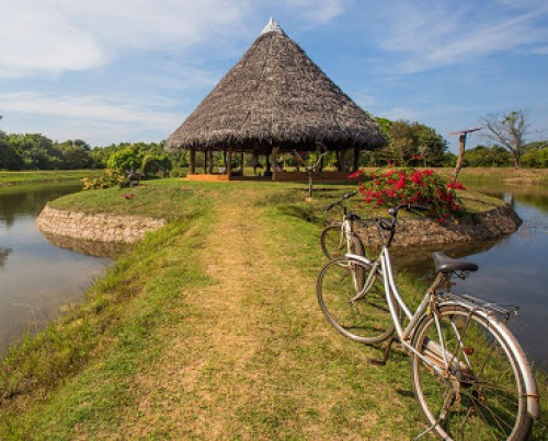 The Mud House