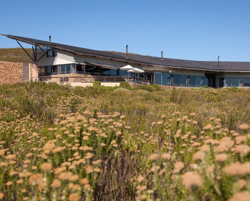 Grootbos Private Reserve