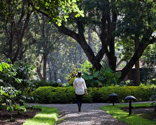 Arusha Coffee Lodge