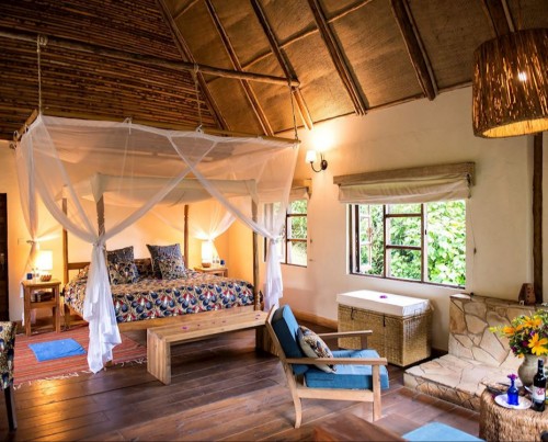 Bwindi Lodge