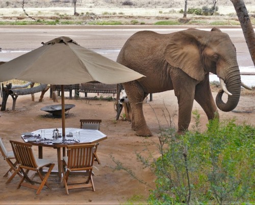 Elephant Bedroom Camp