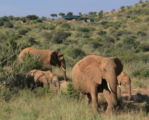 Laikipia Wilderness