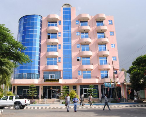 Yared Zema International Hotel