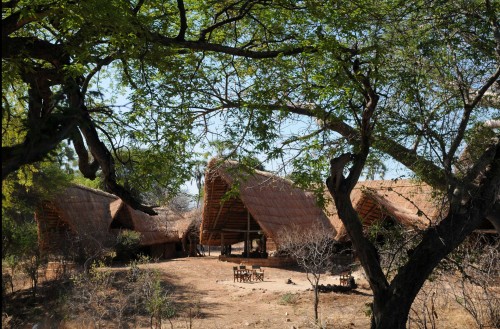 Mwagusi Safari Camp