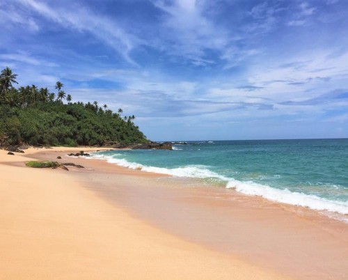 Parrotfish Bay