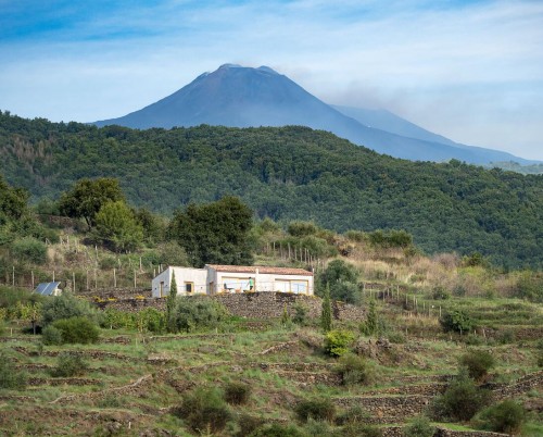 Monaci delle Terre Nere