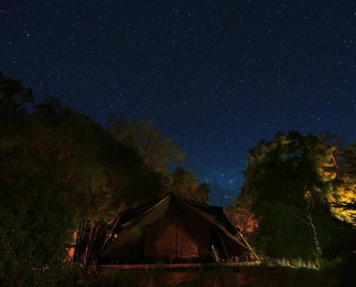 Leopard Trails Yala