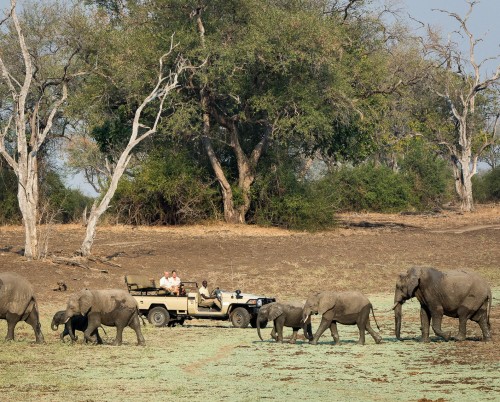 Nsefu Camp