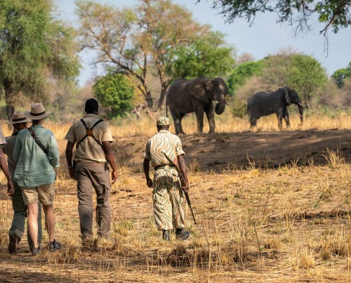 Robin Pope Mobile Walking Safaris