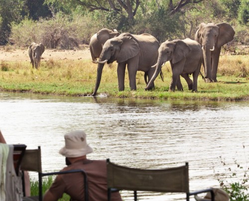 River Horse Canoeing Safari