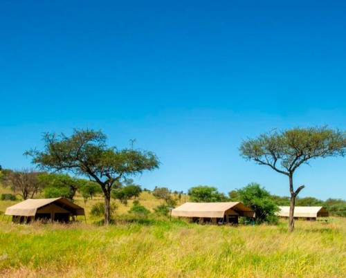 Mara Kati Kati Tented Camp