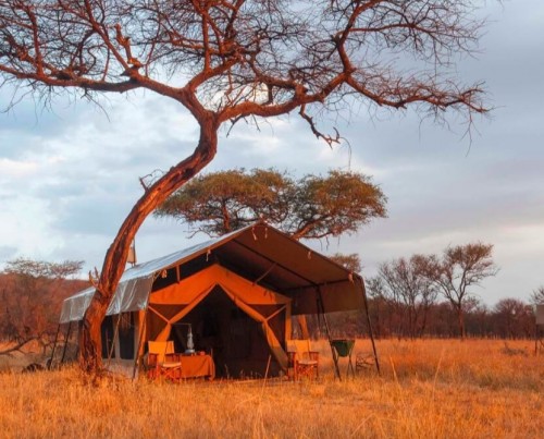 Mara Kati Kati Tented Camp