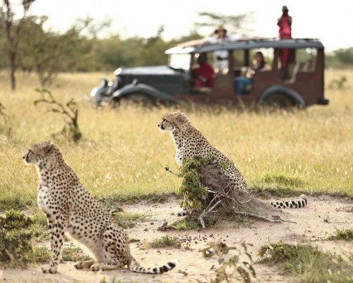 Cottar's 1920s Safari Camp