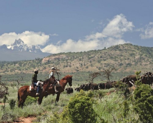 Borana Lodge