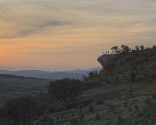 Borana Lodge