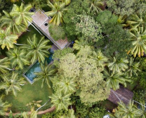 Kaju Green