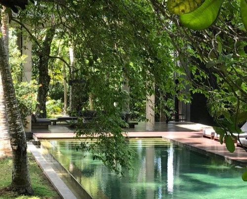 Kaju Green