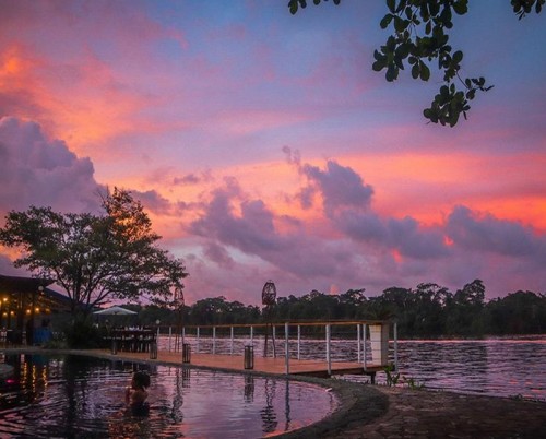 Tortuga Lodge and Gardens