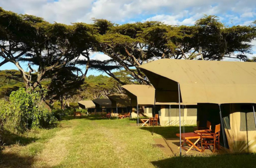 Lemala Ngorongoro Tented Camp