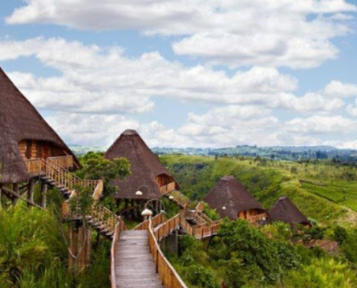 Kyaninga Lodge