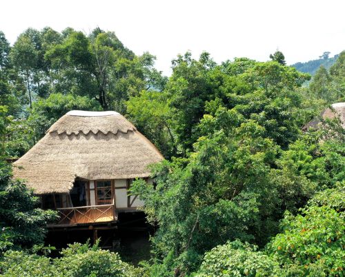 Papaya Lake Lodge