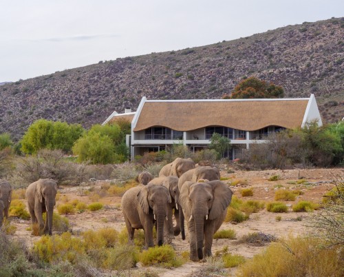 Sanbona Explorer Camp