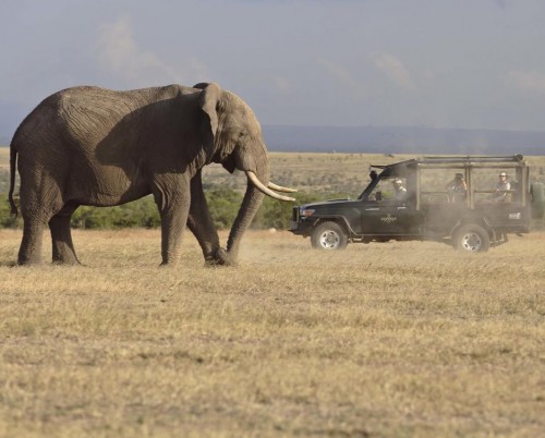 Kicheche Laikipia