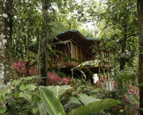 Macaw Lodge