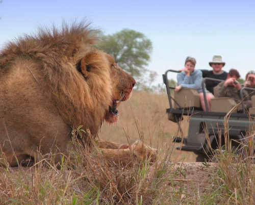 Idube Game Lodge