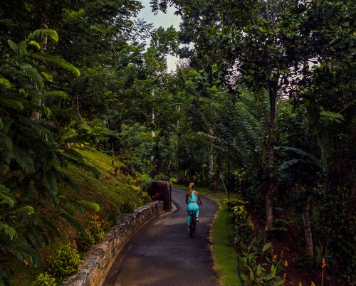 Aarunya Nature Resort & Spa