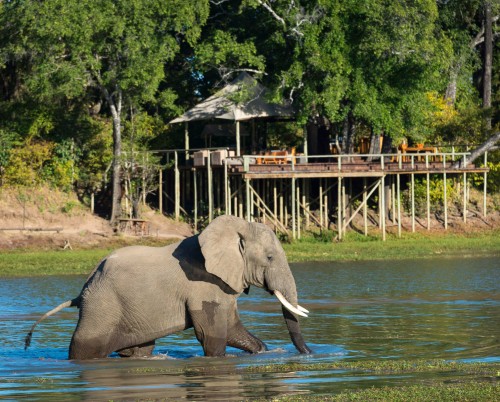 Chindeni Bushcamp