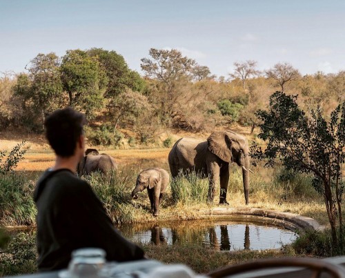 Simbavati River Lodge