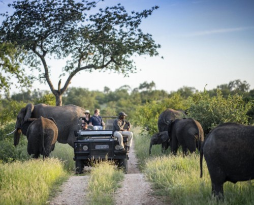 Simbavati River Lodge