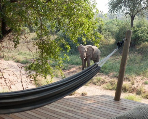 Garonga Safari Camp