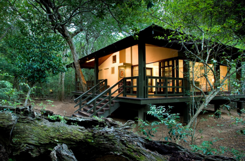 Phinda Forest Lodge